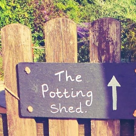The Potting Shed Near Tenby, 100" Projector, Four Poster Bed, On-Site Hot Tub Access Via Spa Pack, Breakfast Buitenkant foto